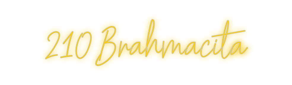 Custom Neon: 210 Brahmacita
