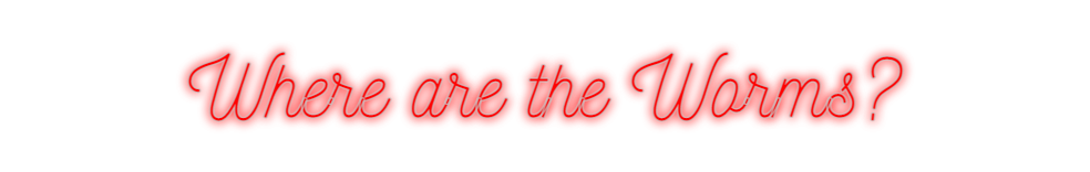 Custom Neon: Where are the...