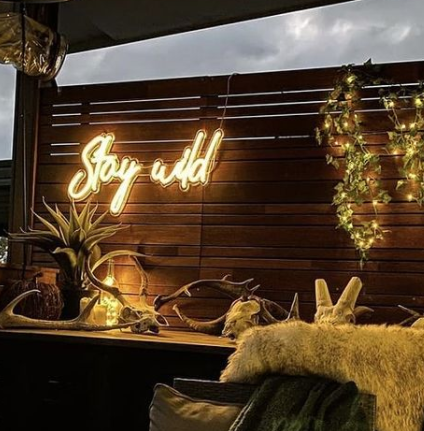 Stay wild neon sign.