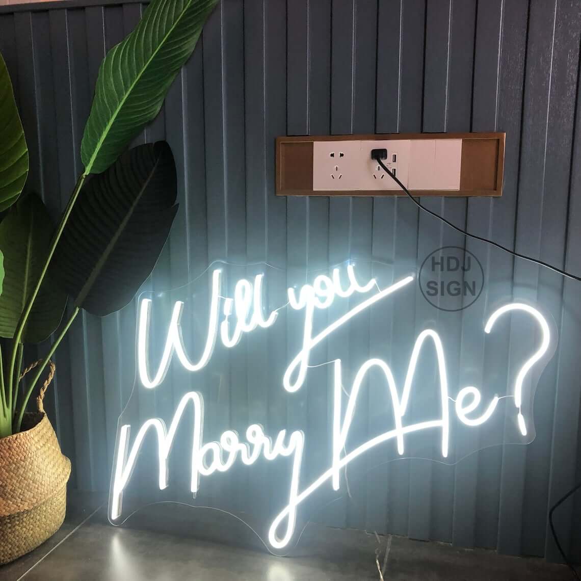 Will You Marry Me Neon Wedding Sign Lights