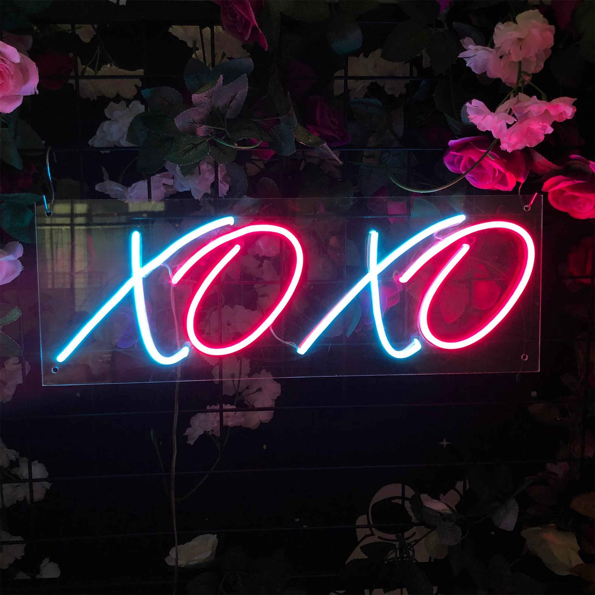XOXO Neon Signs LED